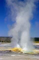 Yellowstone