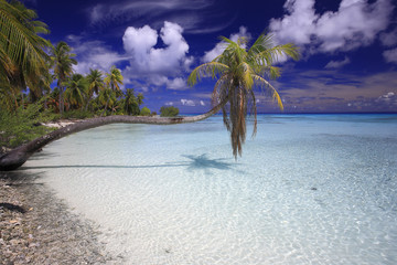 Atoll de l'archipel des Tuamotu