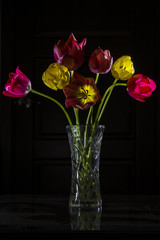 tulips on a dark background 