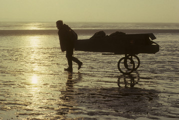 Chasse au 
