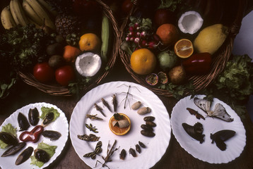 Insectes comestibles