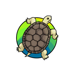 Tortoise. Animal art, cute cartoon style, vector hand drawn illustration. Suitable for pet shop or zoo ads, label design or animal food package element