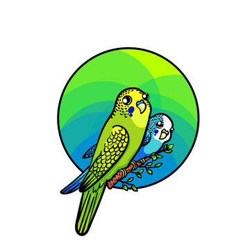 green and blue parakeets perched on branch clip art preview