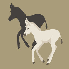 young donkey vector illustration style Flat