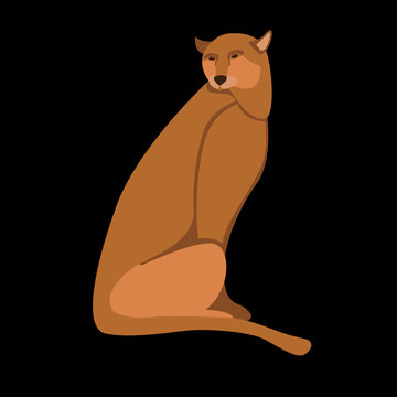 cougar vector illustration style Flat