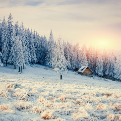 cabin in the mountains in winter 