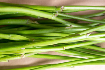 spring flower stalks like green lines of nature useful for background