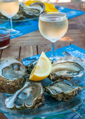 fresh oysters and a glass of wine