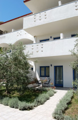 View of the hotel terrace with green olive tree.