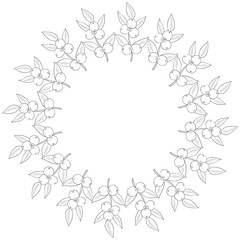 Fototapeta premium Camu camu berry, fruit, leaf branch. Superfood organic berry. Hand drawn sketch illustration.