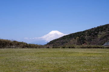 富士山