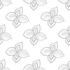 Mint peppermint fresh herb leaves plant hand drawn illustration. Sketch style. For traditional cuisine, medicine, treatment, cooking, gardening. Seamless pattern.