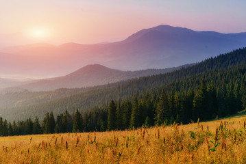Fototapeta na wymiar Beautiful sunset in the Carpathian Mountains Ukraine.