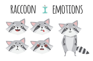 Cute raccoon. Set of emotions
