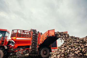 Downloads harvest on the field.