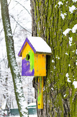 Birdhouse on a tree covered with moss in the forest in winter