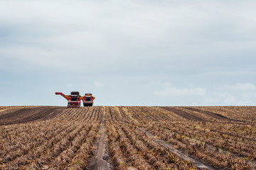 Fototapeta premium tractors working in the field