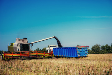 Fototapeta premium Truck and Excavator harvest off.