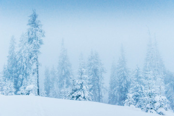 Fototapeta premium chalet in the mountains