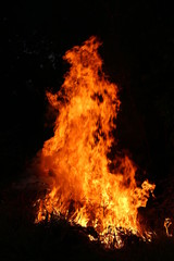 Fototapeta na wymiar Fire flames burning grass on a black background