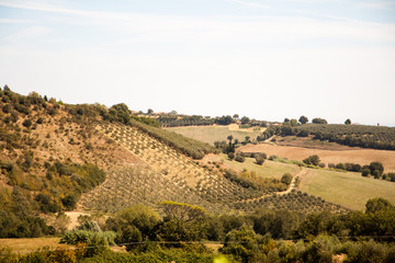 Green Italian hills early summer afternoon