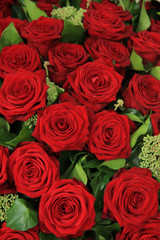 Red bridal roses