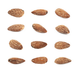 Almond nut isolated