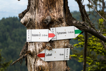 Hiking trail information sign in Polish mountains