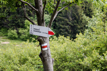 Hiking trail information sign in Polish mountains