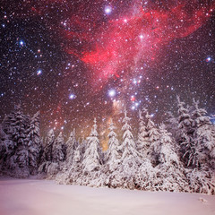 Dairy Star Trek in the winter woods. background with some soft h