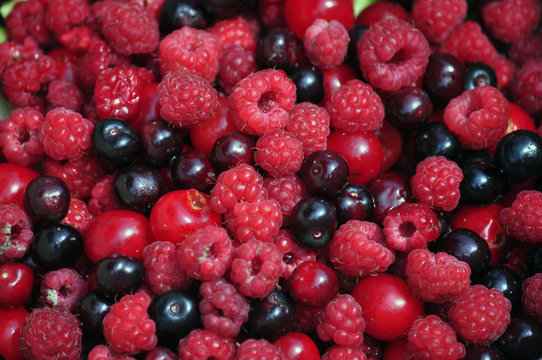 Summer fruit vitamin assorted raspberries, cherries, currants
