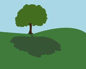 collina con albero e ombra  © MG2323