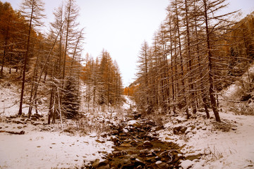 Sunny day in the alps after the snowfall