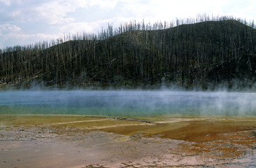 Yellowstone