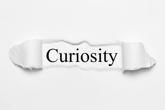 Curiosity on white torn paper
