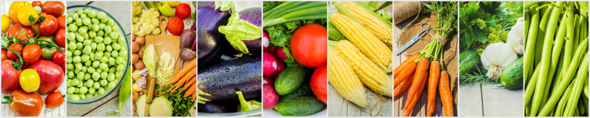 Collage de différents légumes. La nourriture végétarienne.