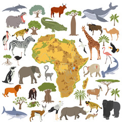 Obraz premium Flat Africa flora and fauna map constructor elements. Animals, b