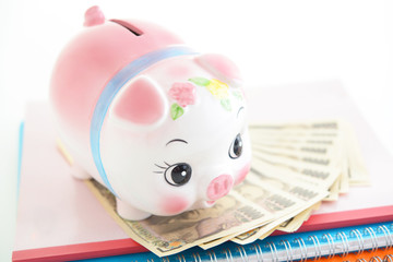 豚の貯金箱と紙幣