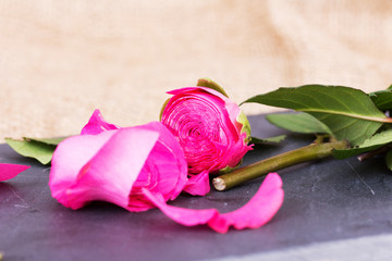 Rose cut up on piece of slate
