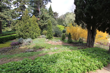 Botanical Garden 