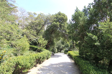Fototapeta na wymiar Botanical Garden 