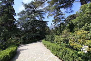 Botanical Garden 