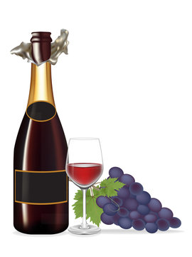 Grape and Bottle wine,Glass wine ,Vector illustration