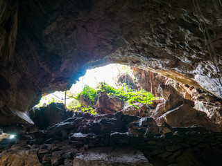 Mystery cave hole with beautiful sunlight in deep forest