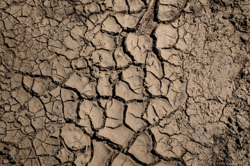 The texture of the dry land. Cracks