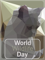World Day of wildlife kitten on a gray background