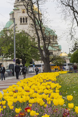 The Alexander Nevsky Cathedral in Sofia, Bulgaria