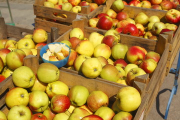 Frische Äpfel  in Kisten auf einem Marktstand