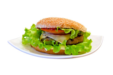 Delicious burger on the plate