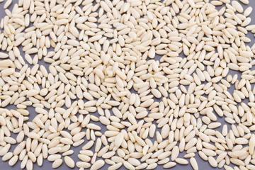 Pine nuts background